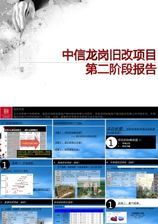 世联_中信_深圳龙岗旧改复合性城际中心项目第二阶段报