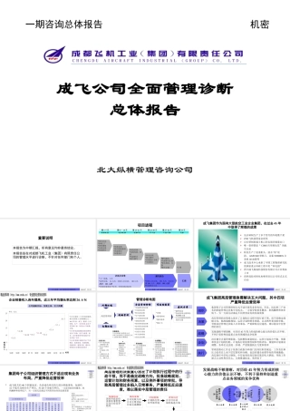 ××集团公司全面管理诊断总体报告（PPT229页）