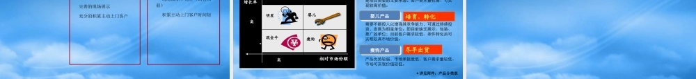 世联_重庆旭庆江湾国际花都项目价格策略报告_62PPT