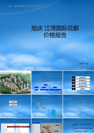 世联_重庆旭庆江湾国际花都项目价格策略报告_62PPT