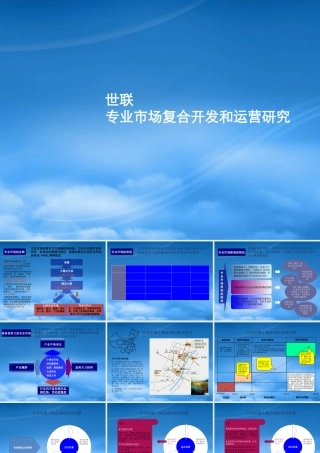 世联_专业市场复合开发和运营研究_31页