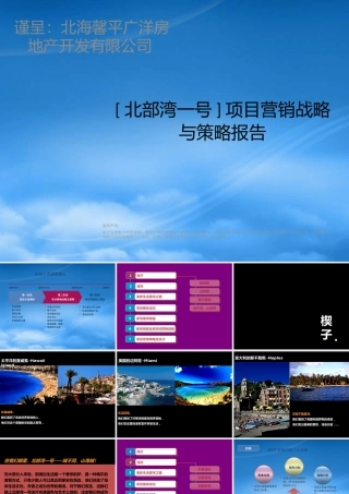世联XXXX北海北部湾一号海景豪宅项目营1541335714