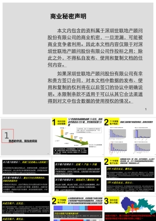 世联XXXX合肥华润凯旋门项目营销投标报告