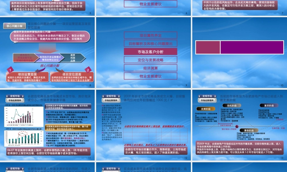 世联XXXX年1月15日合肥华地置业高新区AQ-1地块项目整体