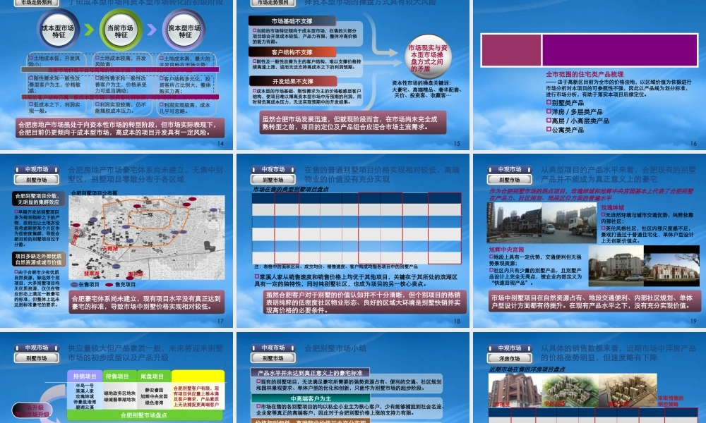 世联XXXX年1月15日合肥华地置业高新区AQ-1地块项目整体