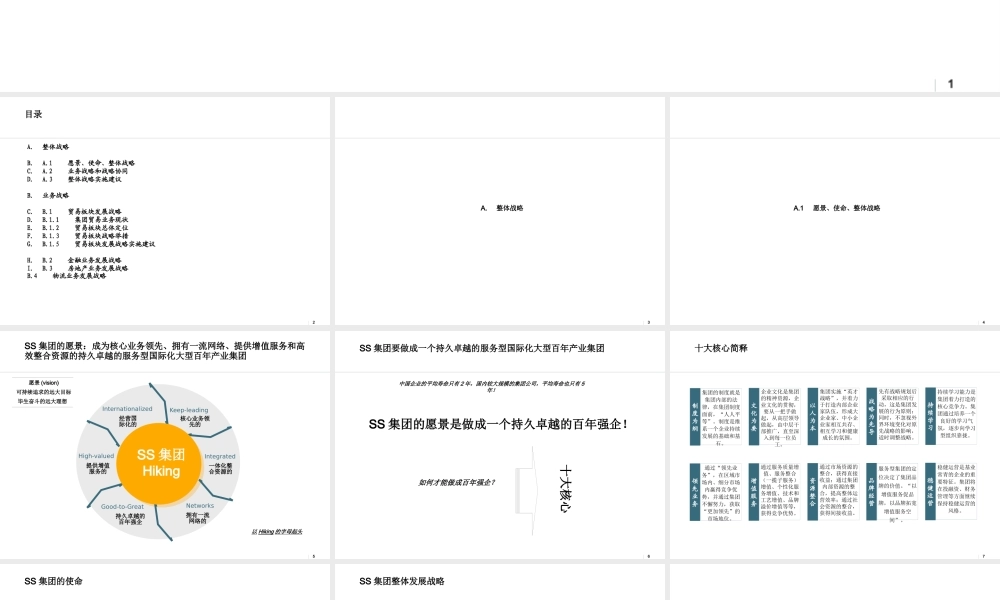 ××集团战略规划(精要版)