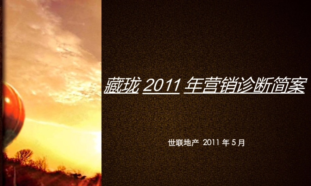 世联XXXX年5月长沙藏珑XXXX年营销诊断简案