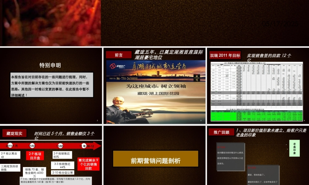 世联XXXX年5月长沙藏珑XXXX年营销诊断简案