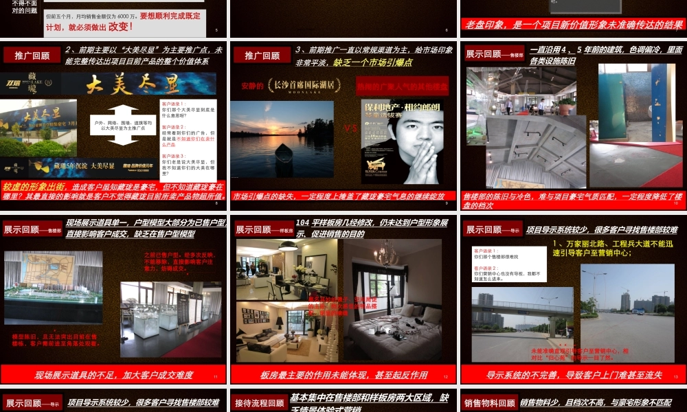 世联XXXX年5月长沙藏珑XXXX年营销诊断简案