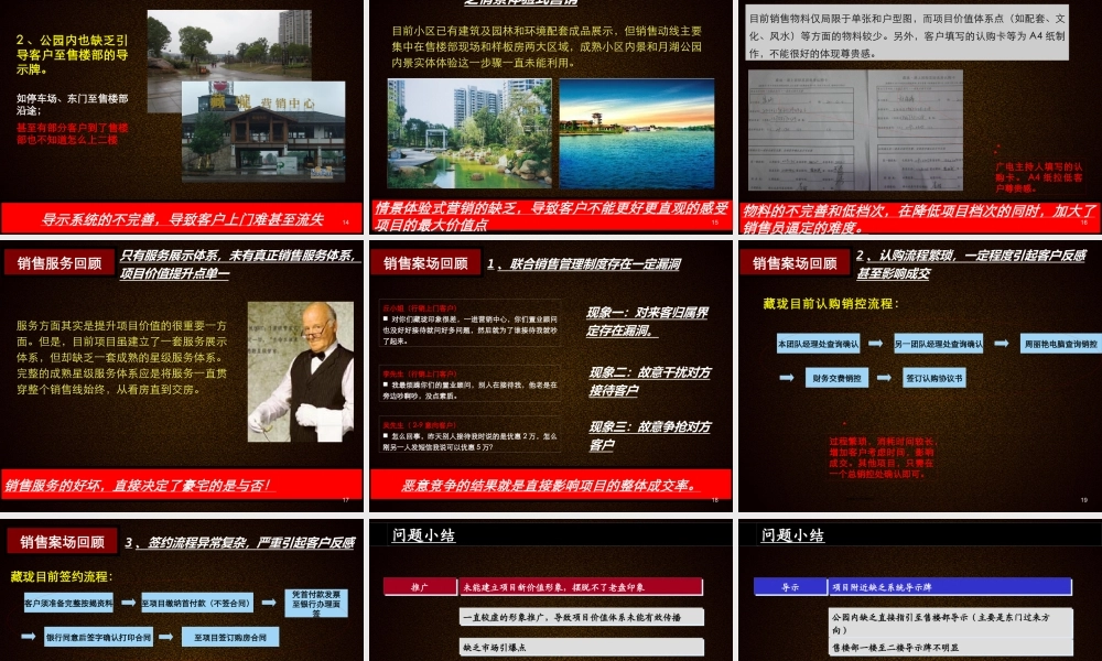 世联XXXX年5月长沙藏珑XXXX年营销诊断简案