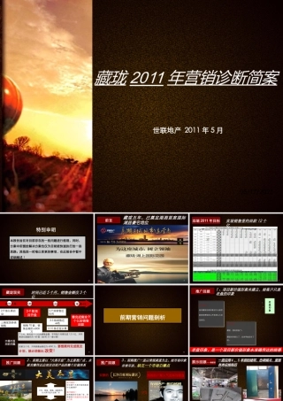 世联XXXX年5月长沙藏珑XXXX年营销诊断简案