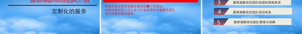 世联XXXX年11月合肥禹洲翡翠湖郡项目营销沟通函