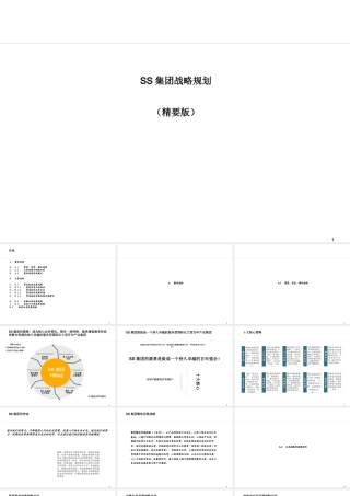 ××集团战略规划--精要版