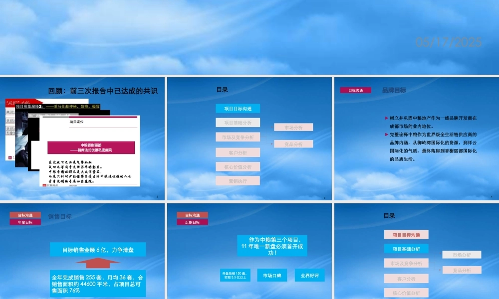 世联XXXX年成都中粮·香榭丽都项目策略总纲及执行报告