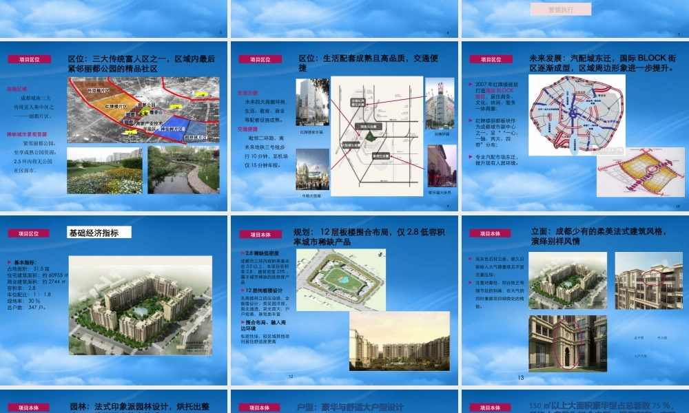 世联XXXX年成都中粮·香榭丽都项目策略总纲及执行报告