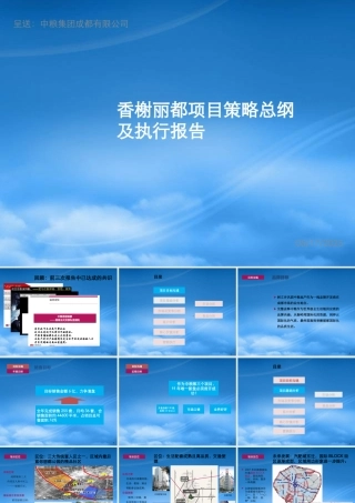 世联XXXX年成都中粮·香榭丽都项目策略总纲及执行报告