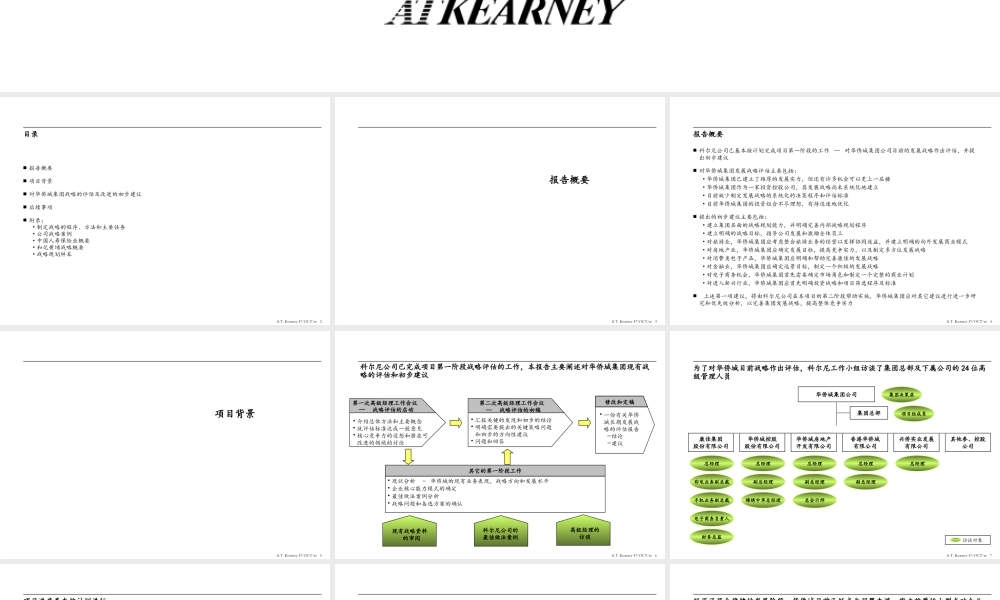 ××集团战略评估报告(1)