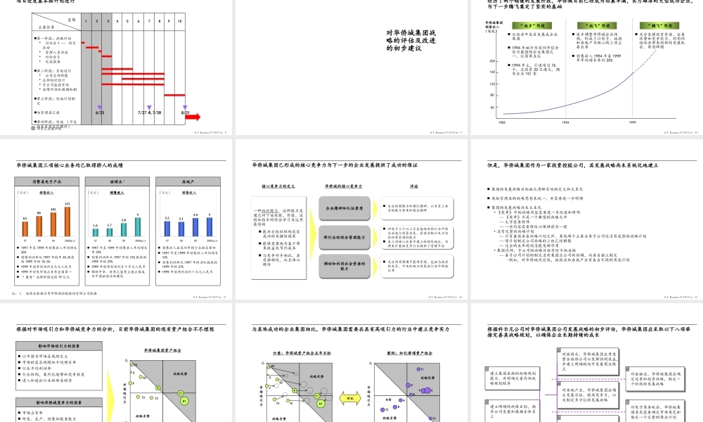 ××集团战略评估报告(1)