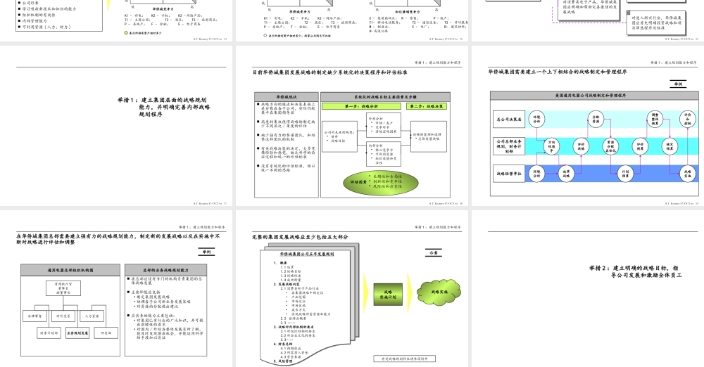 ××集团战略评估报告(1)