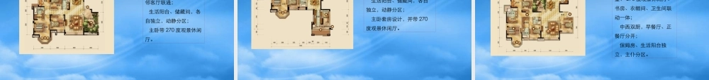 世联XXXX年成都中粮·香榭丽都项目竞品户型分析报告