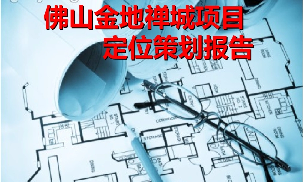 世联XXXX年佛山金地禅城项目定位策划报告118P