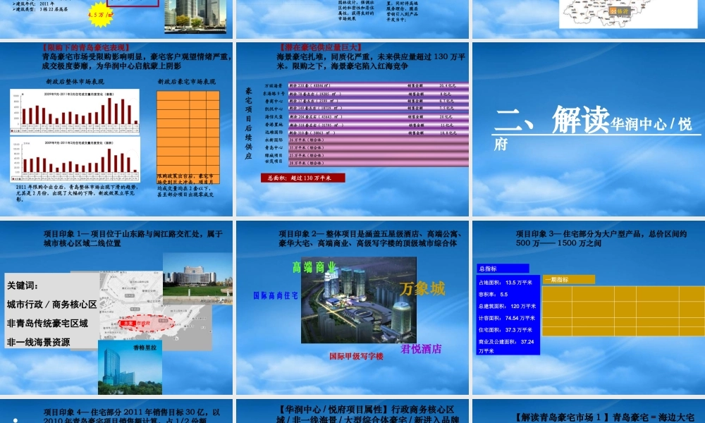 世联XXXX年青岛华润中心项目报告