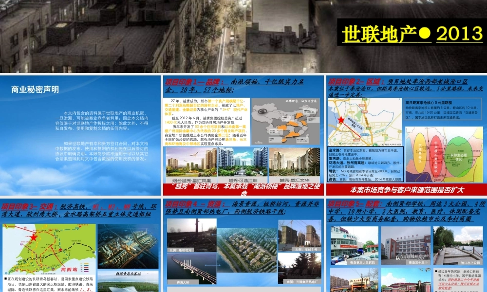 世联XXXX年青岛越秀星汇蓝湾项目竞标报告