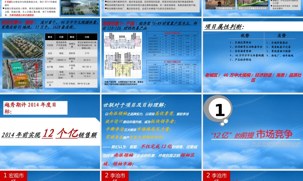 世联XXXX年青岛越秀星汇蓝湾项目竞标报告