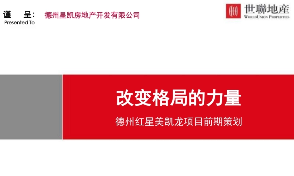 世联XXXX年山东德州红星美凯龙别墅项目前期策划_135p