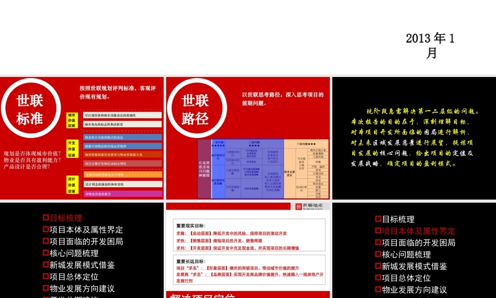 世联XXXX年山东德州红星美凯龙别墅项目前期策划_135p