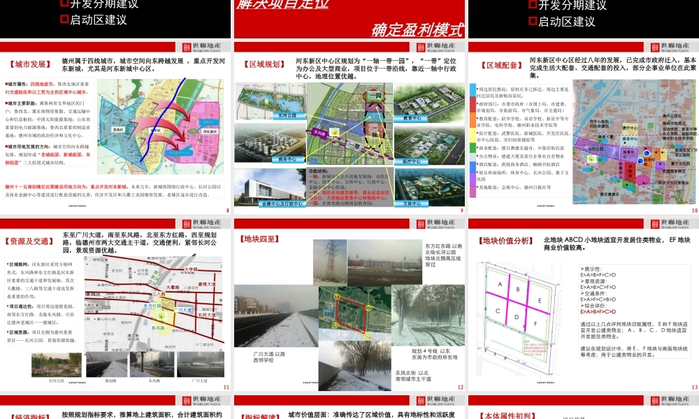 世联XXXX年山东德州红星美凯龙别墅项目前期策划_135p