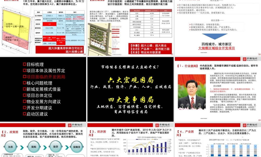 世联XXXX年山东德州红星美凯龙别墅项目前期策划_135p