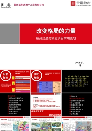 世联XXXX年山东德州红星美凯龙别墅项目前期策划_135p