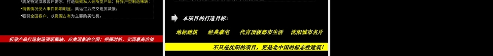 世联XXXX年沈阳新世界会展中心项目投标报告