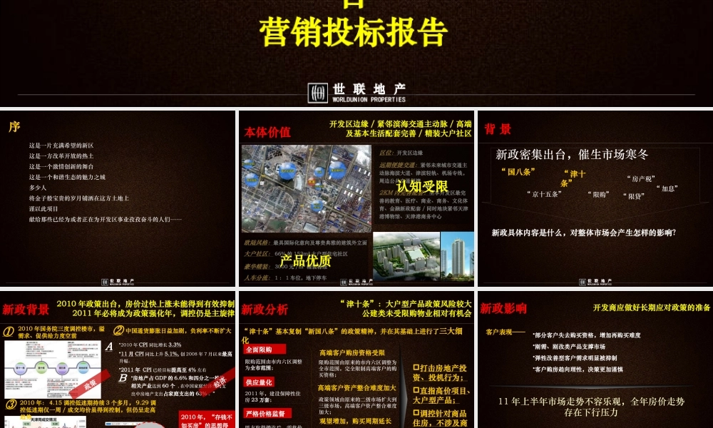 世联XXXX年天津合生·帝景湾项目营销投标报告
