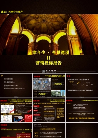 世联XXXX年天津合生·帝景湾项目营销投标报告