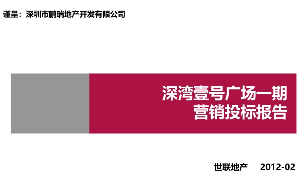 世联XXXX深圳深湾壹号广场一期营销投标报告