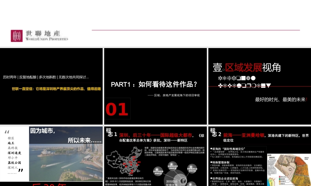 世联XXXX深圳深湾壹号广场一期营销投标报告