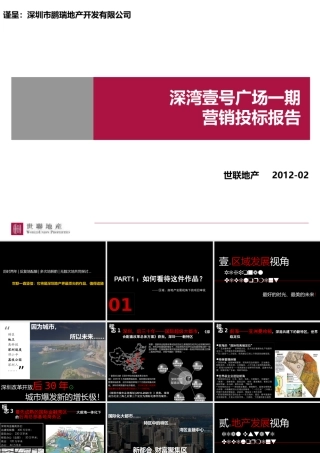 世联XXXX深圳深湾壹号广场一期营销投标报告