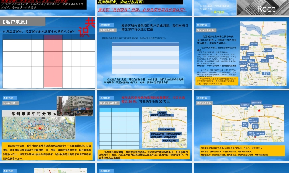 世联XXXX郑州某地产海上五月花营销补充报告
