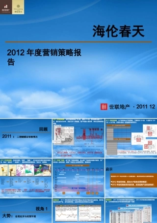 世联XX年广州海伦春天X年度营销策略报告118P