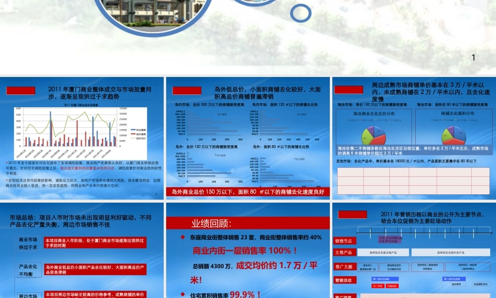 世联X年厦门圣地亚哥商业街XX年度营销总结及XXXX