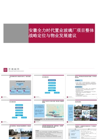 世联-安庆全力时代置业玻璃厂项目整体战略定位与物业发展建议-175PPT
