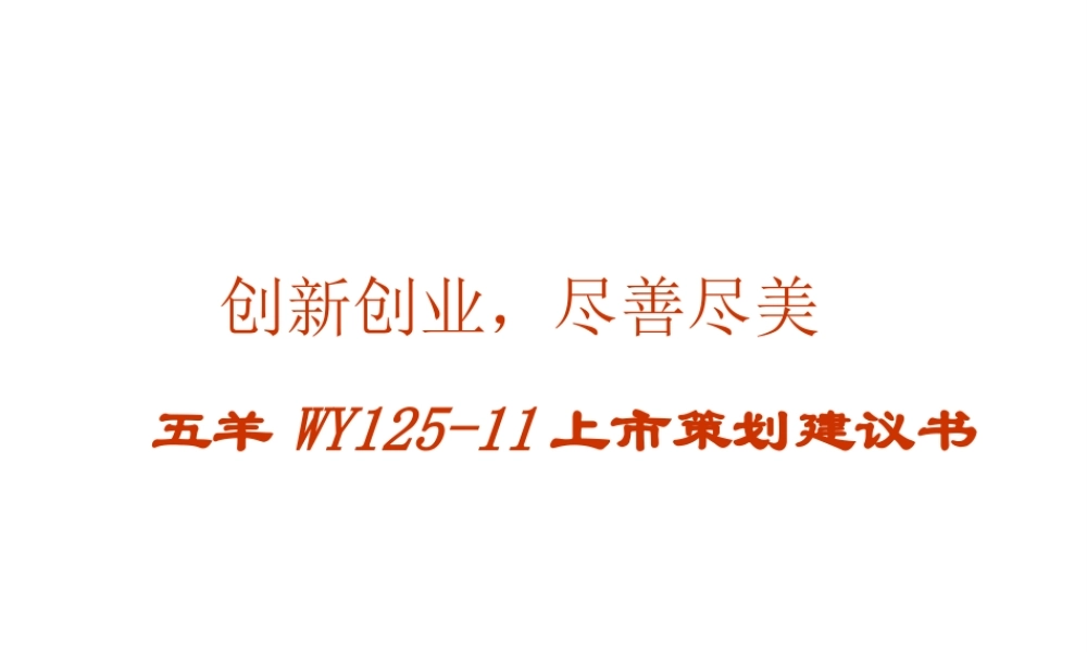 ××摩托上市策划案（PPT 41页）