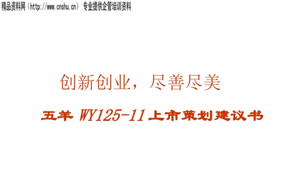 ××摩托上市策划案（PPT41页）