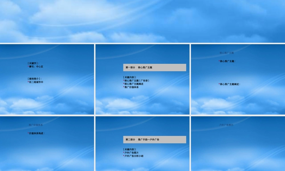 世联案例库 项目-推广类
