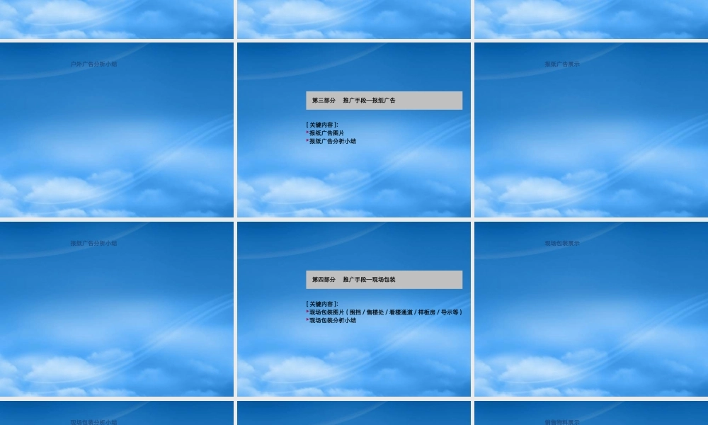 世联案例库 项目-推广类