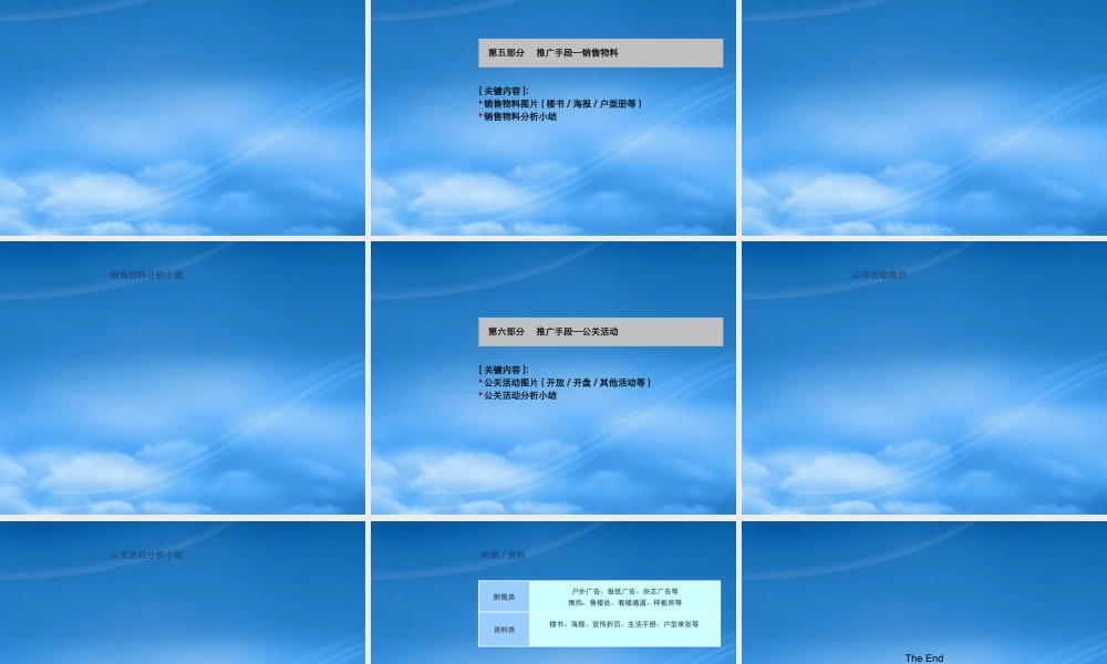 世联案例库 项目-推广类