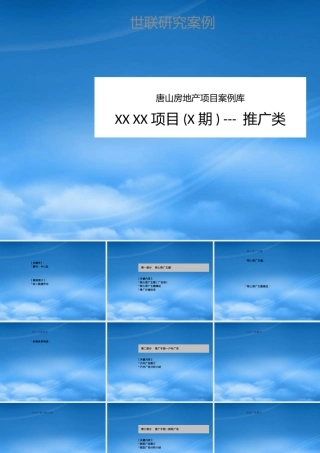 世联案例库 项目-推广类