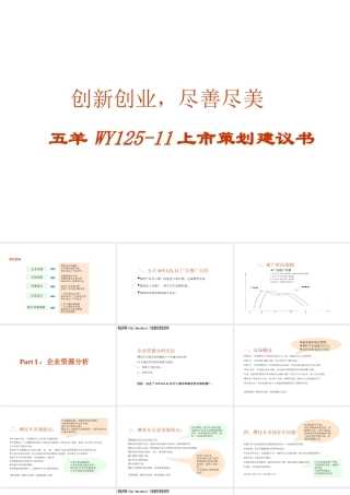 ××摩托上市策划案PPT41页